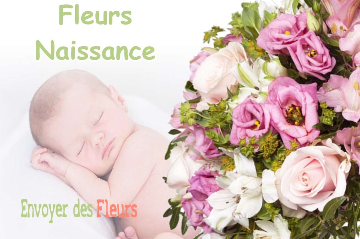 lIVRAISON FLEURS NAISSANCE à CORRONSAC